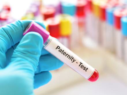 Rolling Meadows, IL family law attorney