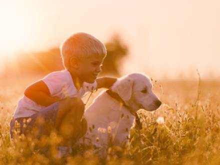 Rolling Meadows, IL Divorce Attorney